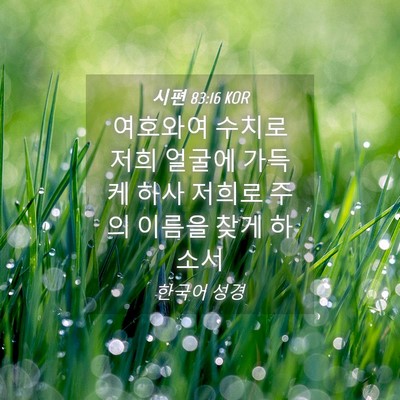 Picture 04 - 시편 83:16 KOR - 여호와여 수치로 저희 얼굴에 가득케 - Bible Verse Picture