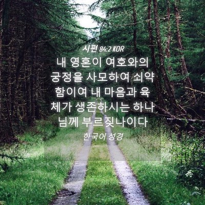 Picture 04 - 시편 84:2 KOR - 내 영혼이 여호와의 궁정을 사모하여 - Bible Verse Picture
