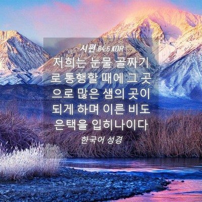 Picture 04 - 시편 84:6 KOR - 저희는 눈물 골짜기로 통행할 때에 - Bible Verse Picture