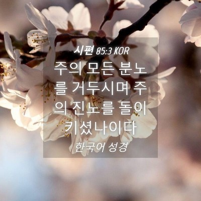 Picture 04 - 시편 85:3 KOR - 주의 모든 분노를 거두시며 주의 - Bible Verse Picture