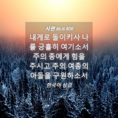 Picture 04 - 시편 86:16 KOR - 내게로 돌이키사 나를 긍휼히 - Bible Verse Picture