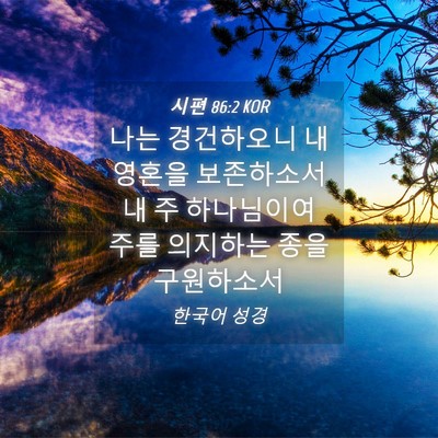 Picture 04 - 시편 86:2 KOR - 나는 경건하오니 내 영혼을 - Bible Verse Picture