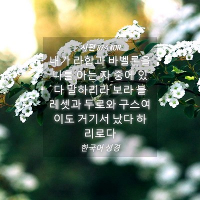 Picture 04 - 시편 87:4 KOR - 내가 라합과 바벨론을 나를 아는 자 - Bible Verse Picture