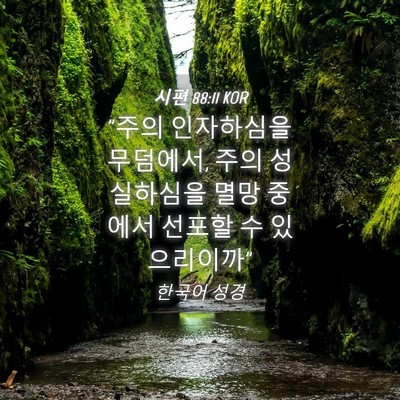 Picture 04 - 시편 88:11 KOR - 