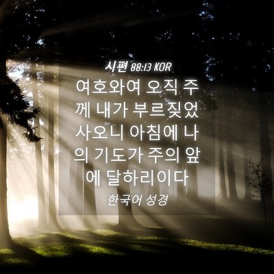 Picture 04 - 시편 88:13 KOR - 여호와여 오직 주께 내가 - Bible Verse Picture