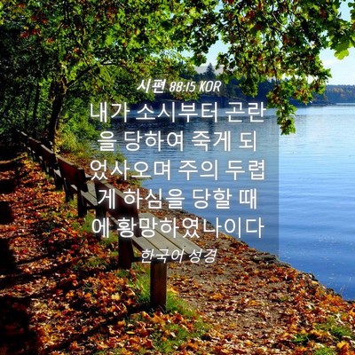 Picture 04 - 시편 88:15 KOR - 내가 소시부터 곤란을 당하여 죽게 - Bible Verse Picture