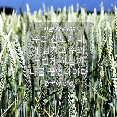 Picture 04 - 시편 88:16 KOR - 주의 진노가 내게 넘치고 주의 - Bible Verse Picture