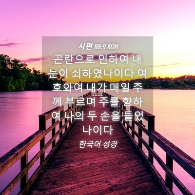 Picture 04 - 시편 88:9 KOR - 곤란으로 인하여 내 눈이 - Bible Verse Picture