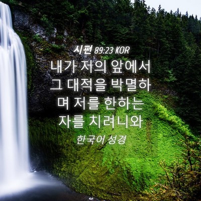 Picture 04 - 시편 89:23 KOR - 내가 저의 앞에서 그 대적을 - Bible Verse Picture