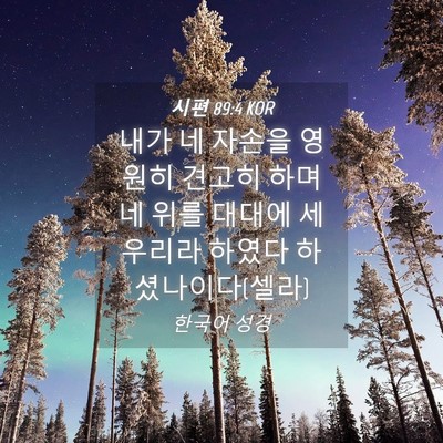 Picture 04 - 시편 89:4 KOR - 내가 네 자손을 영원히 견고히 하며 - Bible Verse Picture