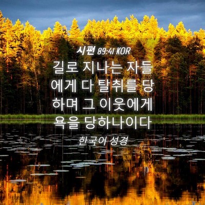 Picture 04 - 시편 89:41 KOR - 길로 지나는 자들에게 다 탈취를 - Bible Verse Picture