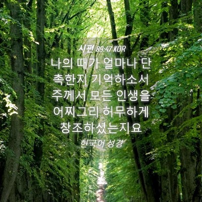 Picture 04 - 시편 89:47 KOR - 나의 때가 얼마나 단촉한지 - Bible Verse Picture