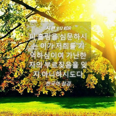 Picture 04 - 시편 9:12 KOR - 피 흘림을 심문하시는 이가 저희를 - Bible Verse Picture