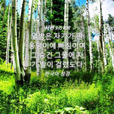 Picture 04 - 시편 9:15 KOR - 열방은 자기가 판 웅덩이에 빠짐이여 - Bible Verse Picture