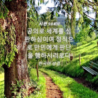Picture 04 - 시편 9:8 KOR - 공의로 세계를 심판하심이여 - Bible Verse Picture