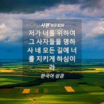 Picture 04 - 시편 91:11 KOR - 저가 너를 위하여 그 사자들을 - Bible Verse Picture