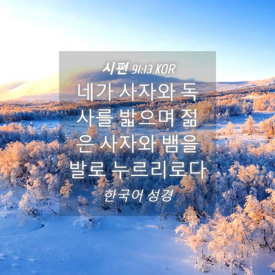 Picture 04 - 시편 91:13 KOR - 네가 사자와 독사를 밟으며 젊은 - Bible Verse Picture