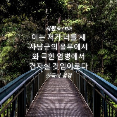 Picture 04 - 시편 91:3 KOR - 이는 저가 너를 새 사냥군의 - Bible Verse Picture
