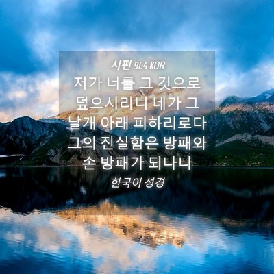 Picture 04 - 시편 91:4 KOR - 저가 너를 그 깃으로 덮으시리니 - Bible Verse Picture