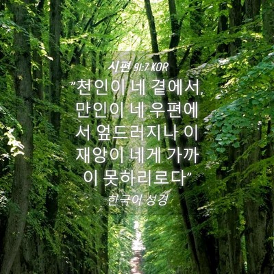 Picture 04 - 시편 91:7 KOR - 