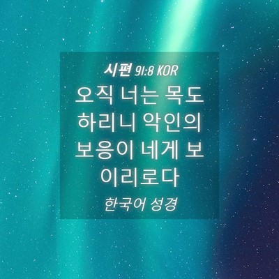 Picture 04 - 시편 91:8 KOR - 오직 너는 목도하리니 악인의 보응이 - Bible Verse Picture