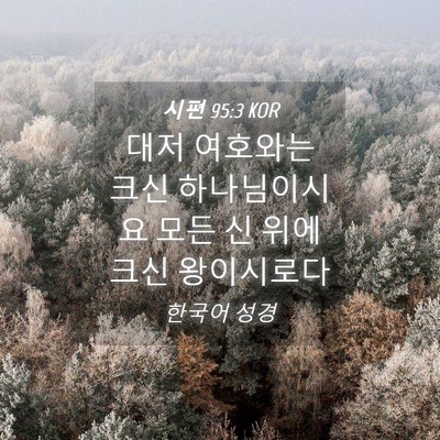 Picture 04 - 시편 95:3 KOR - 대저 여호와는 크신 하나님이시요 - Bible Verse Picture