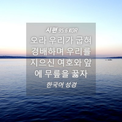 Picture 04 - 시편 95:6 KOR - 오라 우리가 굽혀 경배하며 우리를 - Bible Verse Picture
