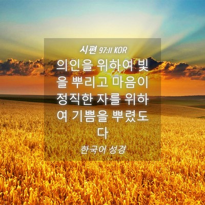 Picture 04 - 시편 97:11 KOR - 의인을 위하여 빛을 뿌리고 마음이 - Bible Verse Picture