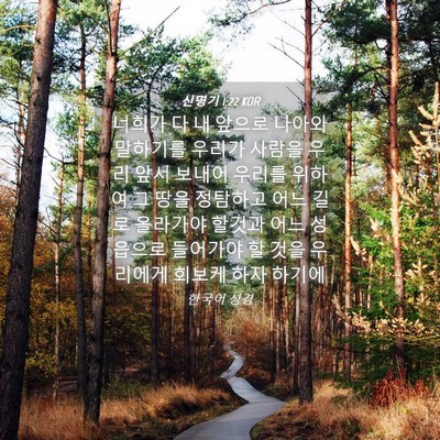 Picture 04 - 신명기 1:22 KOR - 너희가 다 내 앞으로 나아와 - Bible Verse Picture