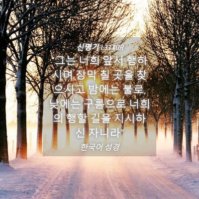 Picture 04 - 신명기 1:33 KOR - 