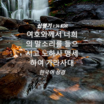 Picture 04 - 신명기 1:34 KOR - 여호와께서 너희의 말소리를 - Bible Verse Picture