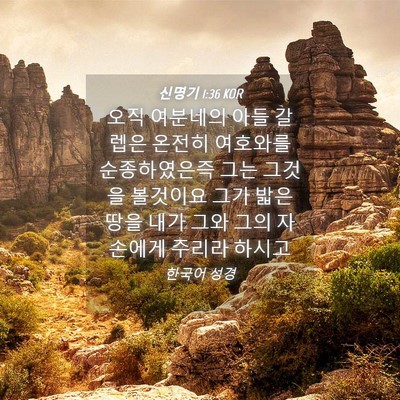 Picture 04 - 신명기 1:36 KOR - 오직 여분네의 아들 갈렙은 온전히 - Bible Verse Picture