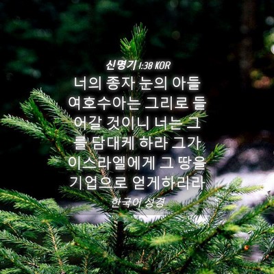 Picture 04 - 신명기 1:38 KOR - 너의 종자 눈의 아들 여호수아는 - Bible Verse Picture