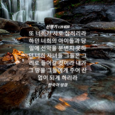 Picture 04 - 신명기 1:39 KOR - 또 너희가 사로 잡히리라 하던 - Bible Verse Picture
