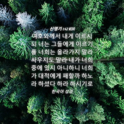 Picture 04 - 신명기 1:42 KOR - 여호와께서 내게 이르시되 너는 - Bible Verse Picture