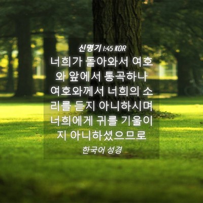 Picture 04 - 신명기 1:45 KOR - 너희가 돌아와서 여호와 앞에서 - Bible Verse Picture