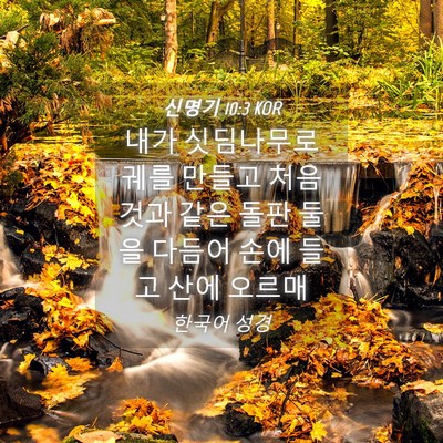 Picture 04 - 신명기 10:3 KOR - 내가 싯딤나무로 궤를 만들고 처음 - Bible Verse Picture