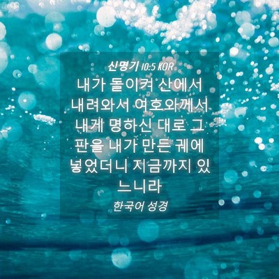 Picture 04 - 신명기 10:5 KOR - 내가 돌이켜 산에서 내려와서 - Bible Verse Picture