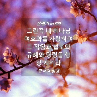 Picture 04 - 신명기 11:1 KOR - 그런즉 네 하나님 여호와를 사랑하여 - Bible Verse Picture