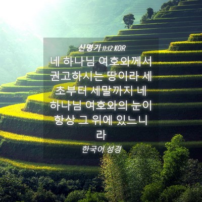 Picture 04 - 신명기 11:12 KOR - 네 하나님 여호와께서 권고하시는 - Bible Verse Picture