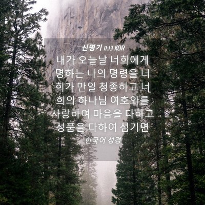 Picture 04 - 신명기 11:13 KOR - 내가 오늘날 너희에게 명하는 나의 - Bible Verse Picture