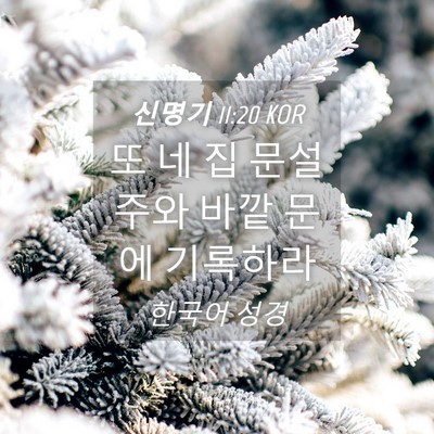 Picture 04 - 신명기 11:20 KOR - 또 네 집 문설주와 바깥 문에 - Bible Verse Picture