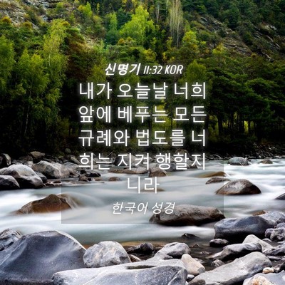 Picture 04 - 신명기 11:32 KOR - 내가 오늘날 너희 앞에 베푸는 모든 - Bible Verse Picture