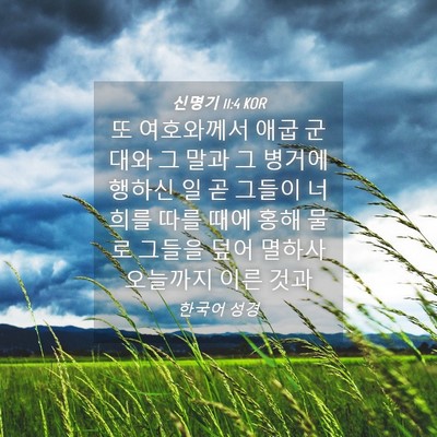Picture 04 - 신명기 11:4 KOR - 또 여호와께서 애굽 군대와 그 말과 - Bible Verse Picture