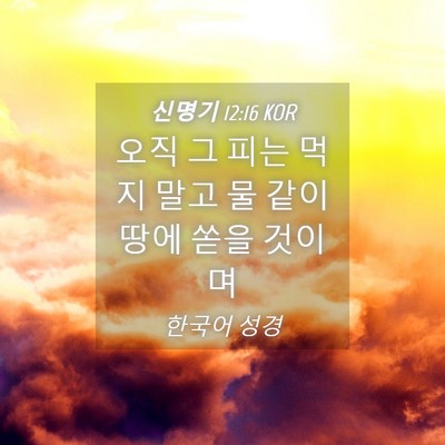 Picture 04 - 신명기 12:16 KOR - 오직 그 피는 먹지 말고 물 같이 땅에 - Bible Verse Picture