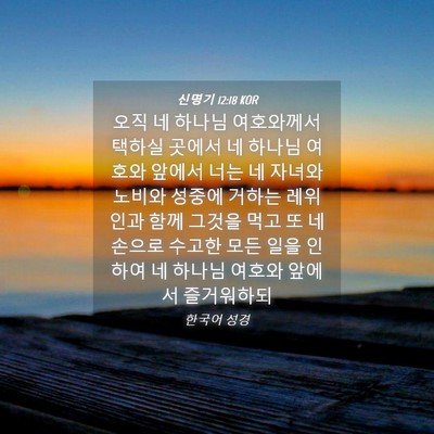 Picture 04 - 신명기 12:18 KOR - 오직 네 하나님 여호와께서 택하실 - Bible Verse Picture