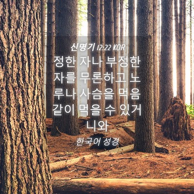 Picture 04 - 신명기 12:22 KOR - 정한 자나 부정한 자를 무론하고 - Bible Verse Picture
