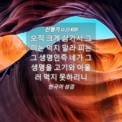 Picture 04 - 신명기 12:23 KOR - 오직 크게 삼가서 그 피는 먹지 말라 - Bible Verse Picture