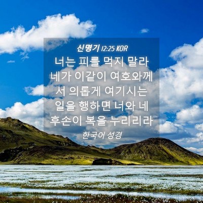 Picture 04 - 신명기 12:25 KOR - 너는 피를 먹지 말라 네가 이같이 - Bible Verse Picture