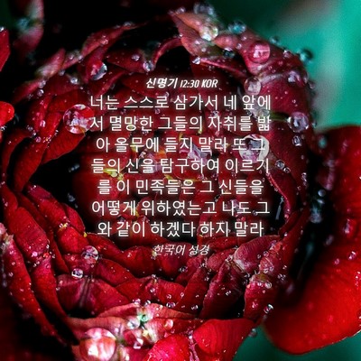 Picture 04 - 신명기 12:30 KOR - 너는 스스로 삼가서 네 앞에서 - Bible Verse Picture